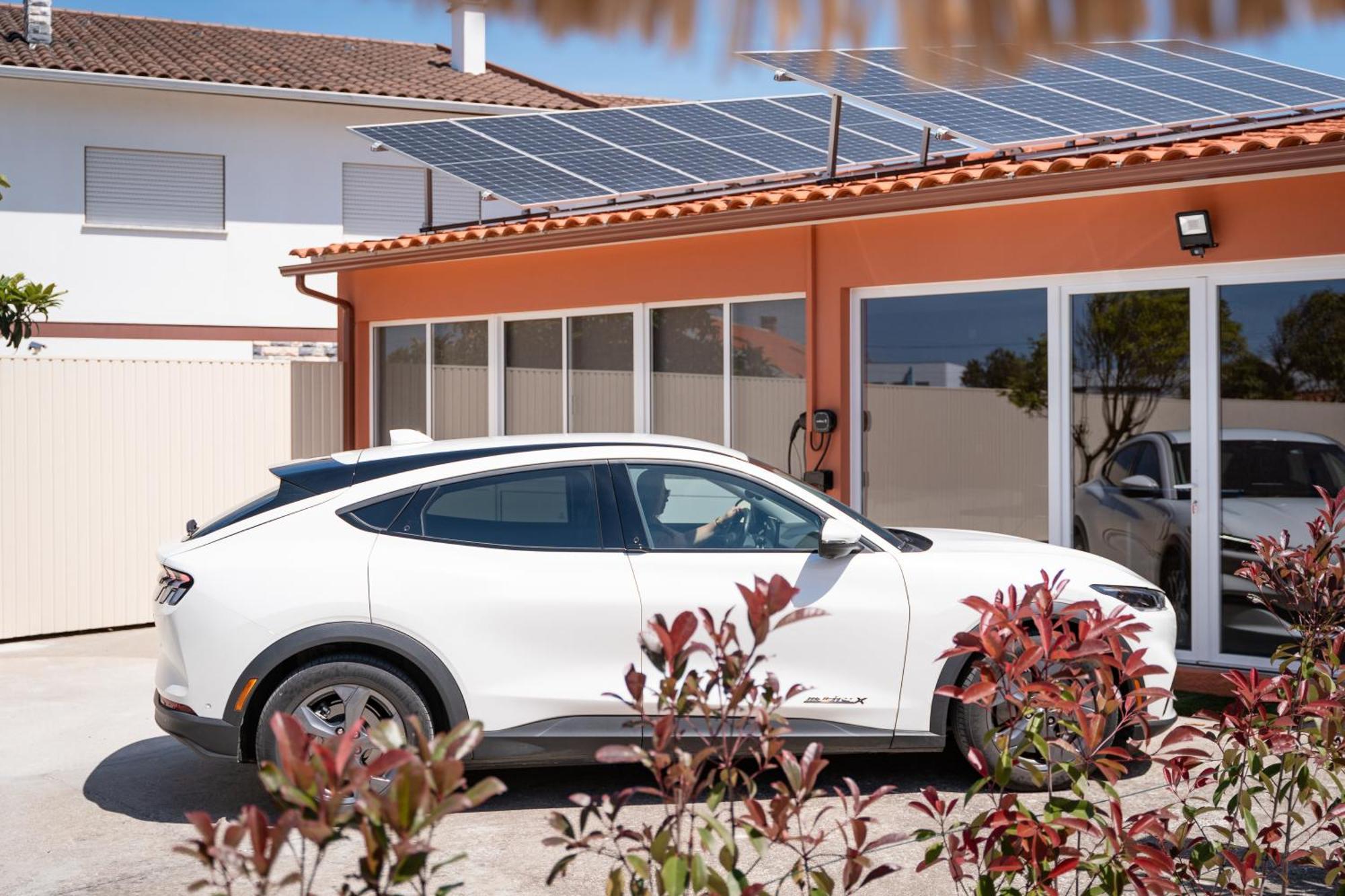 Magnolia Luxury Villa Vieira de Leiria Dış mekan fotoğraf